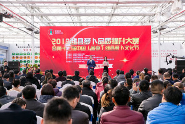潍县萝卜通过溯源防伪标签推动提升品质